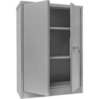 Counter-High Storage Cabinet, Steel, 2 Shelves, 42" H x 48" W x 24" D, Grey Chandler Sales
