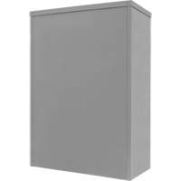 Counter-High Storage Cabinet, Steel, 2 Shelves, 42" H x 48" W x 24" D, Grey Chandler Sales