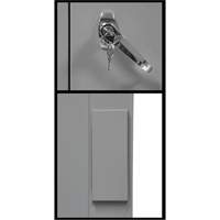 Counter-High Storage Cabinet, Steel, 2 Shelves, 42" H x 48" W x 24" D, Grey Chandler Sales