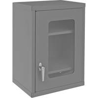Armoire de rangement murale avec portes transparentes, 26-15/16" h x 18-1/8" la x 13-11/16" p, 2 tablettes, Acier, Gris Chandler Sales