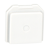 BW Gas Detector Dummy Sensor for Toxic Location Chandler Sales