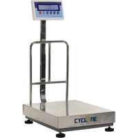 Cyclone 300 Bench and Platform Scale, 600 lbs. / 300 kg Capacity, 17-3/4" L x 23-3/5" W Chandler Sales