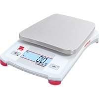 Bench Top Scales