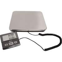 Digital Receiving Scale, 220 lbs. Cap., 1 lbs. Graduations Chandler Sales