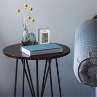 Thermom&egrave;tre sans fil int&eacute;rieur/ext&eacute;rieur, Sans contact, Analogique, 31-158°F (-35-70°C) Chandler Sales