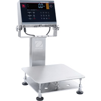 Defender 6000 Washdown Bench Scale, 25 lbs. Capacity, 11-4/5" L x 11-4/5" W Chandler Sales