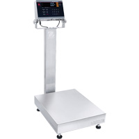 Defender 6000 Washdown Bench Scale, 100 lbs. Capacity, 19-7/10" L x 15-7/10" W Chandler Sales