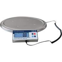 Keg Weighing Scale, 200 kg Capacity Chandler Sales