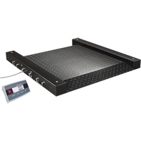 Defender 2500 Drum Scale, 500 lbs. Capacity, 2.5' L x 2.5' W Chandler Sales