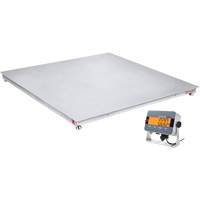 DEFENDER 3000 Floor Scale, 2500 lbs. Capacity, 48" W x 48" L Chandler Sales