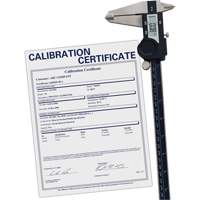 Digital Caliper with Traceable Certificate, 0.0005" (0.01 mm) Resolution, 0" - 12" (0 mm - 300 mm) Range Chandler Sales