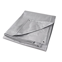 Tarp, Super Heavy-Duty, Silver, 10' x 8' x 12 mils Chandler Sales