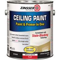 Peinture et appr&ecirc;t pour plafond en un seul produit, Blanc, Tr&egrave;s mat, 3,78 L, Gallon Chandler Sales