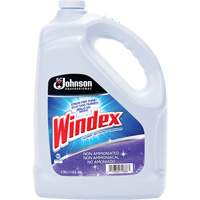Nettoyant multi-surface non ammoniac&eacute; de Windex, 3,8 L, Cruche Chandler Sales