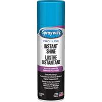 Brillant instantan&eacute; Pro Line pour surfaces en plastique, 11 oz, Canette a&eacute;rosol Chandler Sales