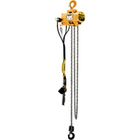 Budgit&reg; Air Chain Hoists Chandler Sales