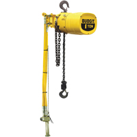 Budgit&reg; Series 6000 Air Hoists Chandler Sales