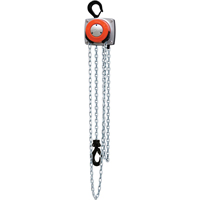 Hurricane 360° Chain Hoist, 10' Lift, 1000 lbs. (0.5 tons) Capacity, Steel Chain Chandler Sales