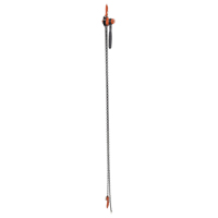 Mini palan &agrave; levier, Lev&eacute;e 10', Cabacit&eacute; 1000 lb (0,5 tonne), Chaîne en Acier Chandler Sales