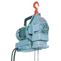 Minifor&reg; Portable Electric Wire Rope Hoist TR30 Chandler Sales