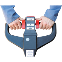 Fully Powered Electric Pallet Truck, 4500 lbs. Cap., 48" L x 30.25" W Chandler Sales