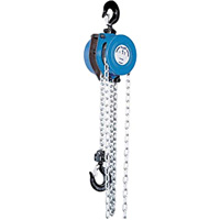Tralift&reg; Manual Chain Hoist, 10' Lift, 4000 lbs. (2 tons) Capacity, Grade 80 Chain Chandler Sales