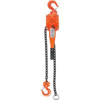 Lever Hoist, 5' Lift, 1500 lbs. (0.75 tons) Capacity, Alloy Steel Chain Chandler Sales