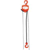 Chain Hoist, 10' Lift, 4000 lbs. (2 tons) Capacity, Alloy Steel Chain Chandler Sales