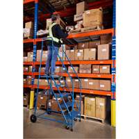 CSA-Certified Rolling Step Ladder, 5 Steps, 22" Step Width, 46" Platform Height, Steel Chandler Sales