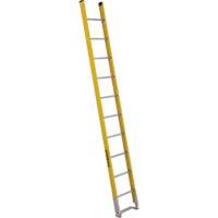 Single Section Straight Ladder - 6100 Series, 10', Fibreglass, 375 lbs., CSA Grade 1AA Chandler Sales
