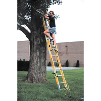 Industrial Heavy-Duty Extension Ladders (6200 Series), 375 lbs. Cap., 13' H, Grade 1AA Chandler Sales