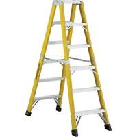 6600 Series Industrial Heavy-Duty 2-Way Stepladders, Fibreglass, 300 lbs. Capacity, 6' Chandler Sales