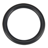 O Ring, Plain Chandler Sales