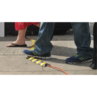 Ultra-Sidewinder&reg; Cable Protection System - Small, 13.125" x 3" x 0.75", 32000 lbs. (16 tons) Chandler Sales