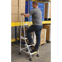 Stop-Step Ladders, 3 Steps, 16" Step Width, 28-11/16" Platform Height, Steel Chandler Sales