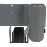 Platform Truck, 48" L x 24" W, 2000 lbs. Capacity, Rubber Casters Chandler Sales