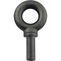 Alloy Steel Eye Bolt, 2-1/2" Dia., 3-1/2" L, 26600 lbs. (13.3 tons)/26600 lbs. Capacity Chandler Sales