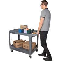 Chariot utilitaire pour l'entretien avec tablette plate, 2 tiers, 25-1/4" x 32-1/4" x 44", Capacit&eacute; 550 lb Chandler Sales