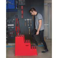 Escabeau industriel, 3 marches, 34-13/16" x 22-7/16" x Hauteur 28-1/2" Chandler Sales