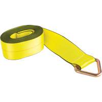 Logistic Strap, Delta Ring, 4" W x 30' L, 5400 lbs. (2449 kg) Working Load Limit Chandler Sales