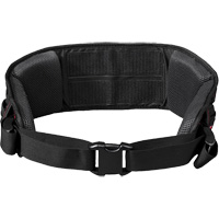 Backpack Blower Hip Belt Chandler Sales
