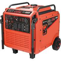 Tri-Fuel Inverter Generator Chandler Sales