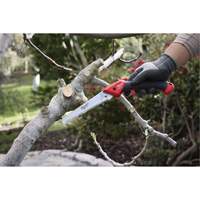 7” Folding Pruning Saw with ?Straight Blade Chandler Sales