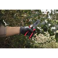 1” Angled Pruning Shears Chandler Sales