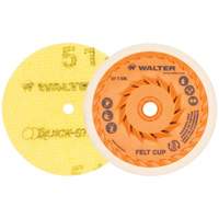 Quick-Step Instant Polish Discs, 5" Dia. Chandler Sales