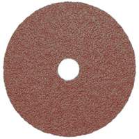 Resin Fibre Sanding Disc, Aluminum Oxide, A16, 5" Dia x 7/8" Arbor Chandler Sales