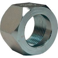 &eacute;crou hexagonal de minage Dixon, 1", Zingu&eacute;, Filetage NPT Chandler Sales