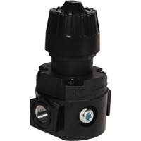 Wilkerson Compact Regulator R16, 1/4" NPT, 300 psi Max. PSI, Standard Chandler Sales