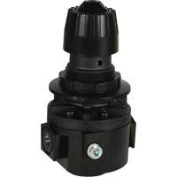 Wilkerson Regulator R26, 3/8" NPT, 300 psi Max. PSI, Standard Chandler Sales