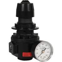 Wilkerson Regulator R26, 1/2" NPT, 300 psi Max. PSI, Standard Chandler Sales